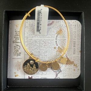 Harry Potter Alex and Ani Bracelet